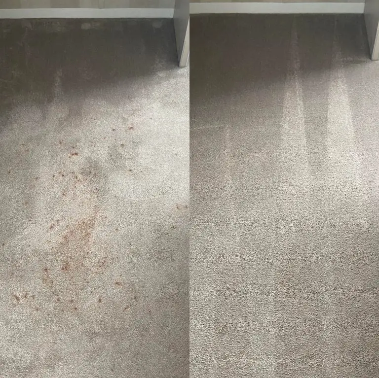 Before and after vomit stain removal