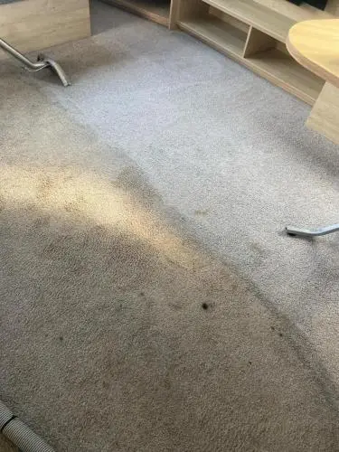 Muddy carpet clean