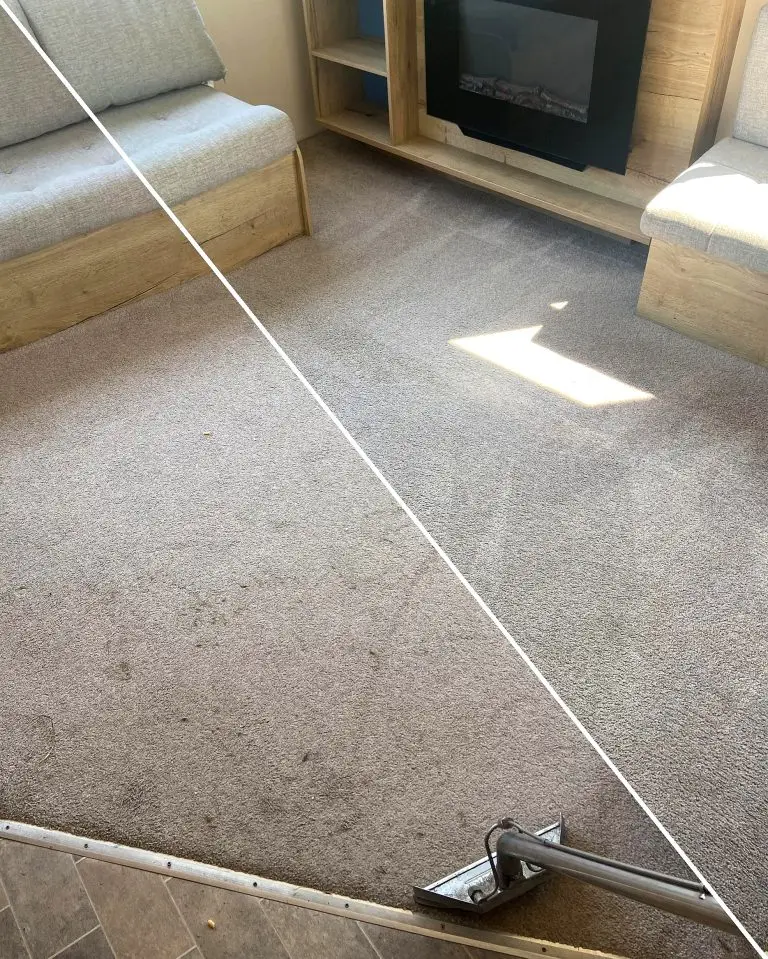Before and after carpet cleaning services