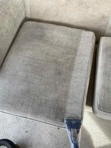 Sofa cushion clean