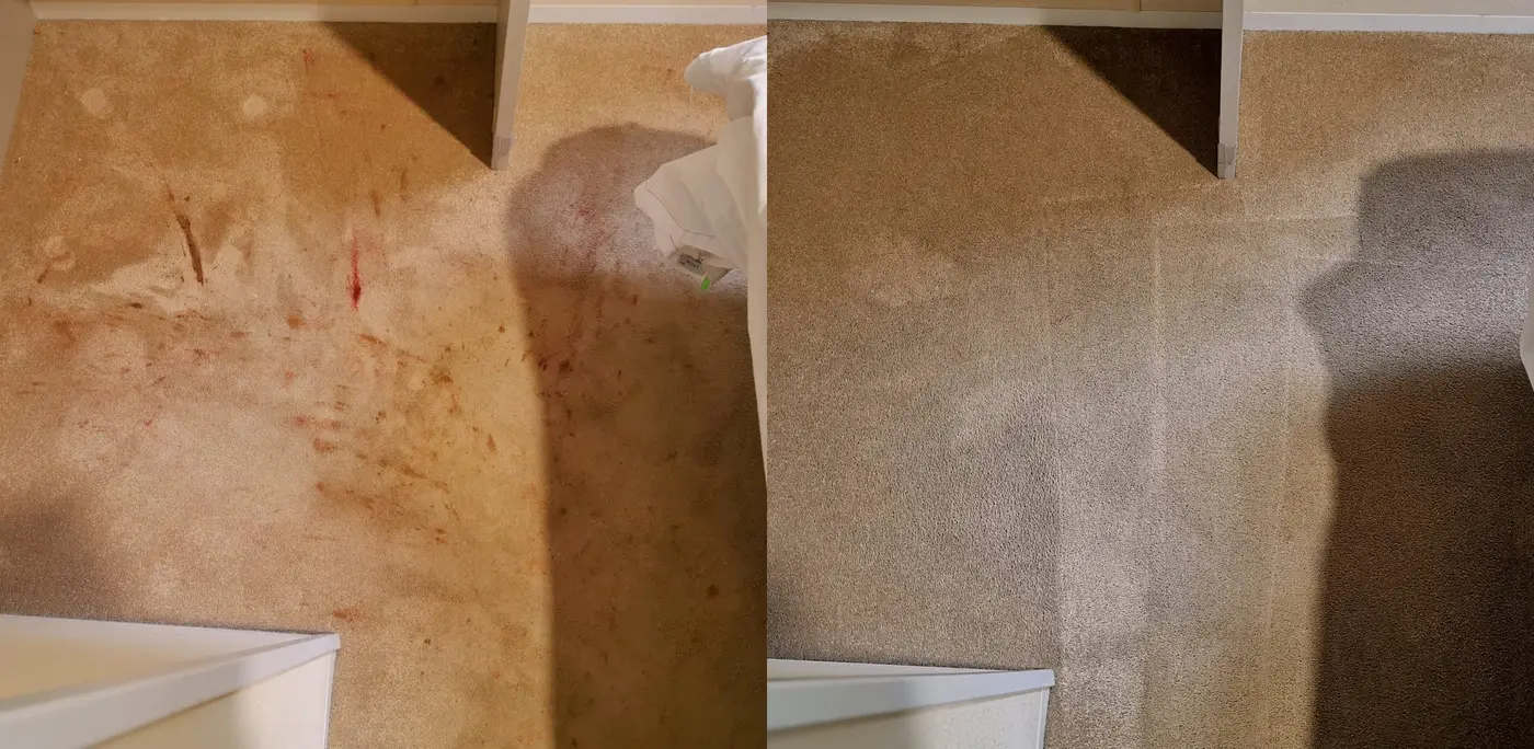 Before After Makeup Removal