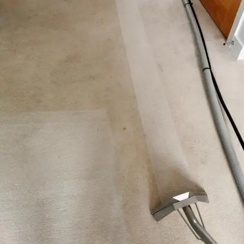 Carpet clean in progress showing cleaned strip