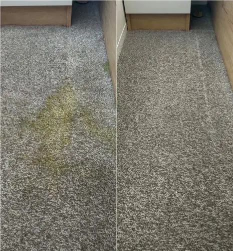 Before and after stain removal