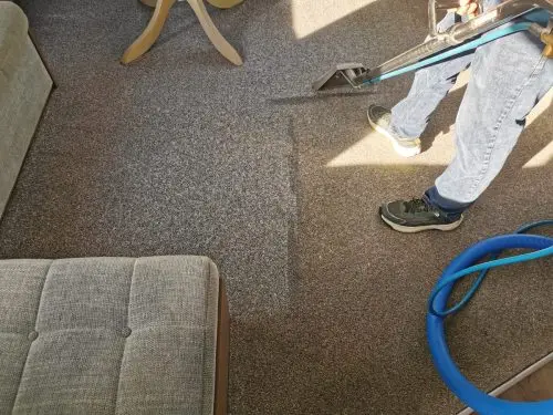 Carpet clean in progress