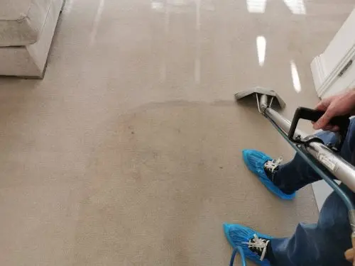 Lounge carpet clean