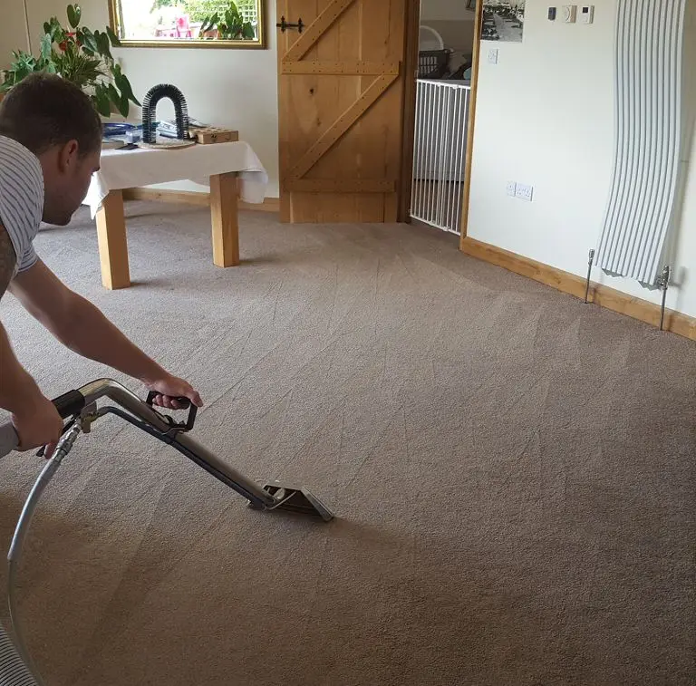Professionally cleaned carpets