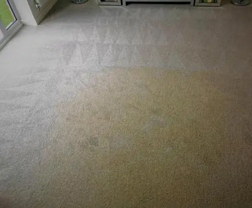 Lounge carpet cleaning