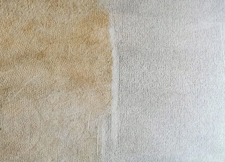 Muddy Carpet Cleaning