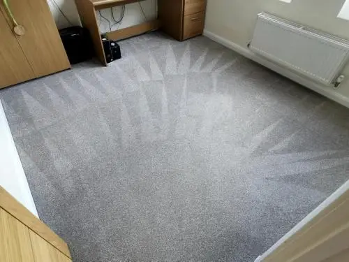 Office carpet clean