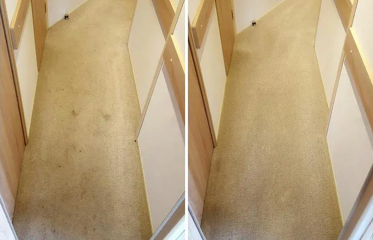Muddy Hallway - Carpet Clean