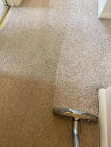Hallway carpet clean
