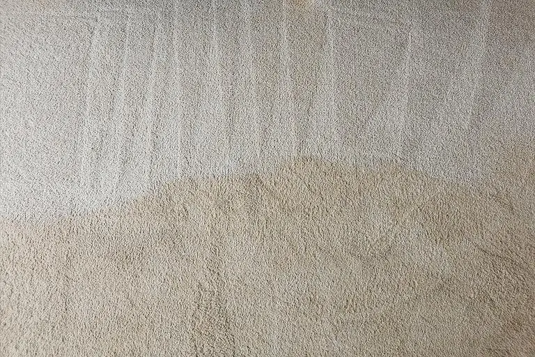 Muddy Carpet Clean in Progress