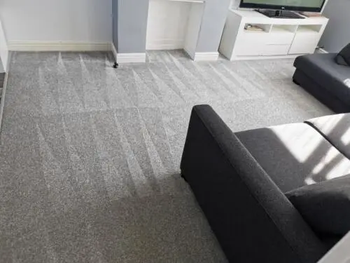 Carpet and upholstery clean