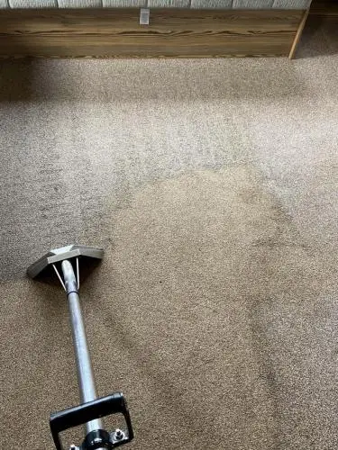 Muddy carpet
