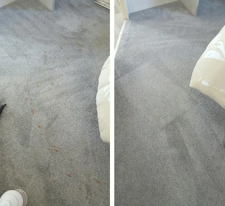 Bedroom Carpet - Vomit Stain Removal