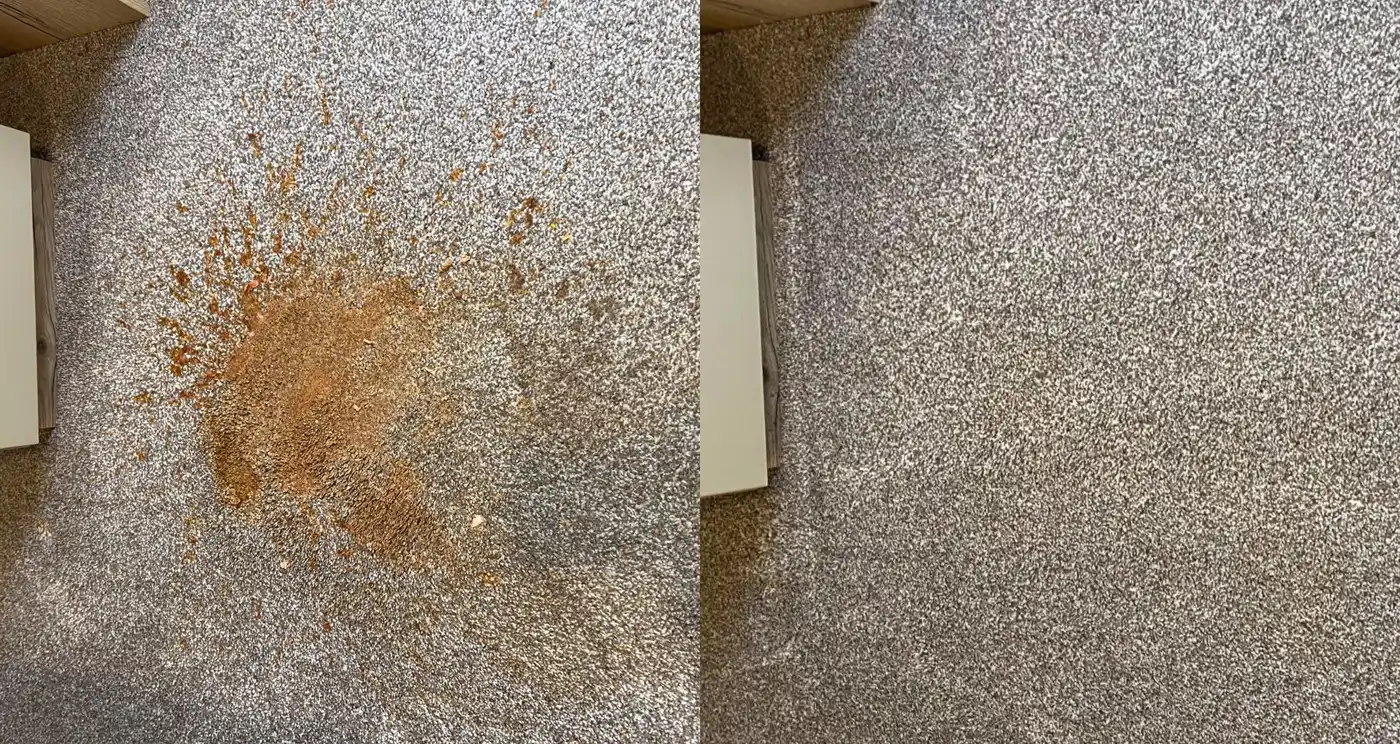 Vomit Before & After