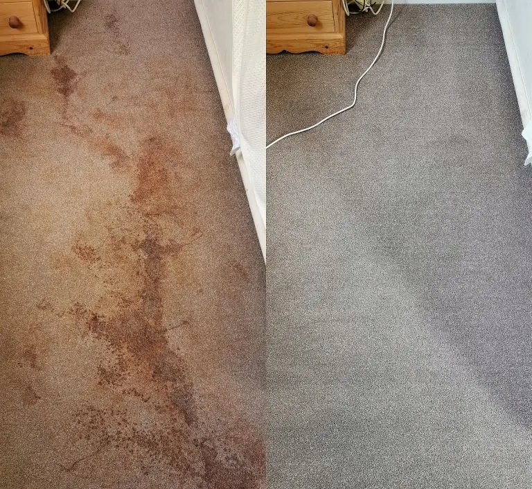 Blood stain removal